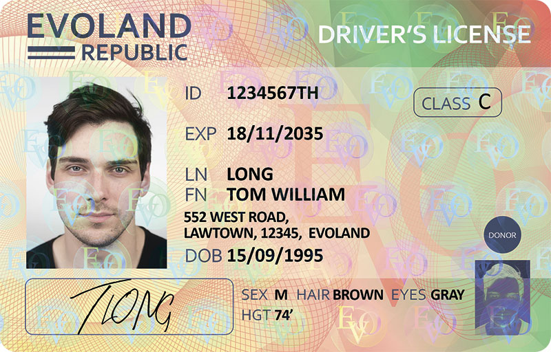 primacy4